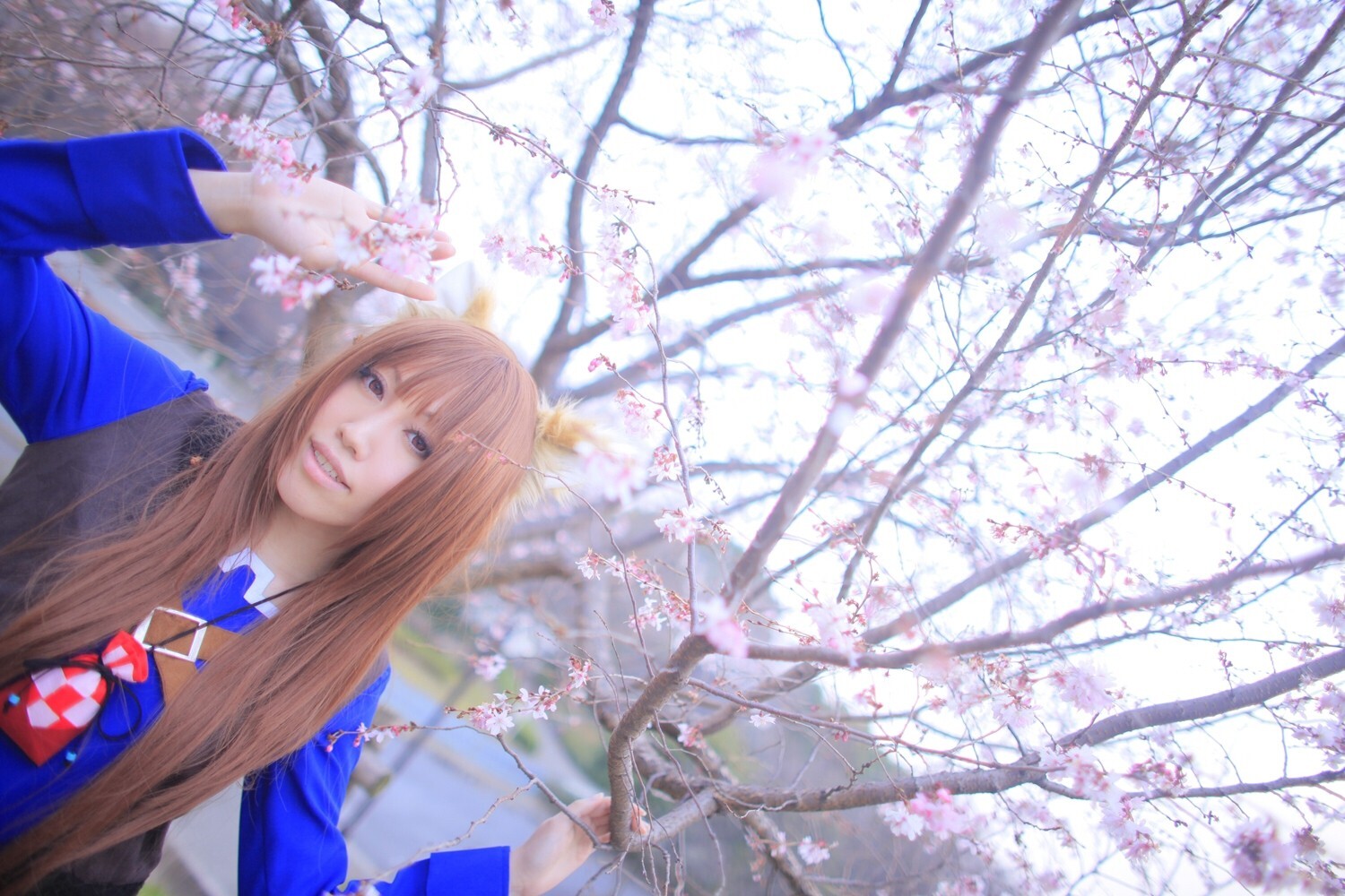 [Cosplay] 2013.04.13 Spice and Wolf Hot Cosplay